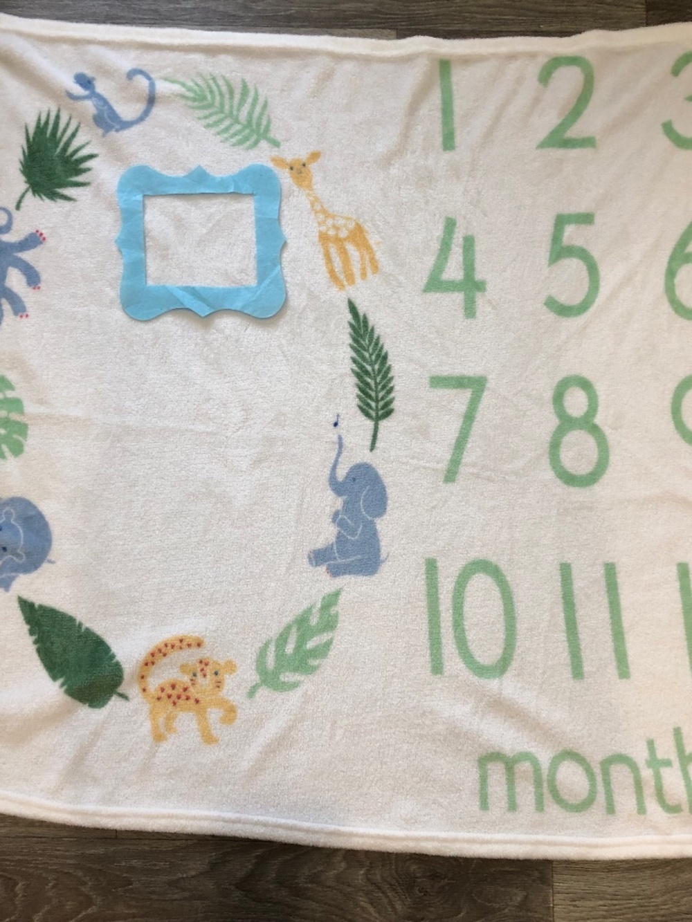 Infant Photo Backdrop Blanket Miletone Months White Jungle Photo Blanket